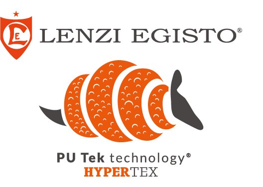 LENZI EGISTO